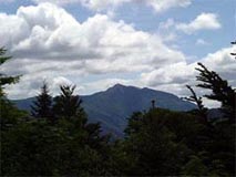 O䉓i