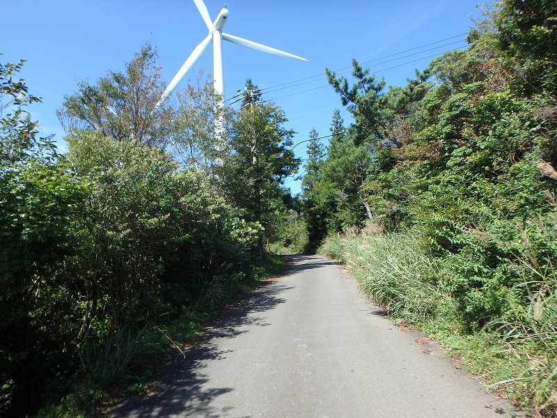 asahiga05.jpg