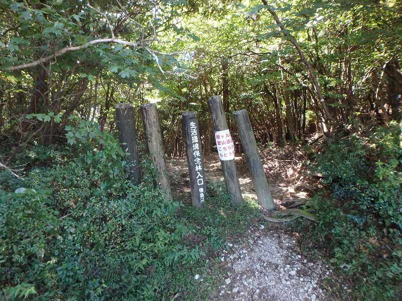 asahiga10.jpg