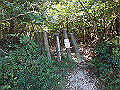 asahiga10_thumb.png