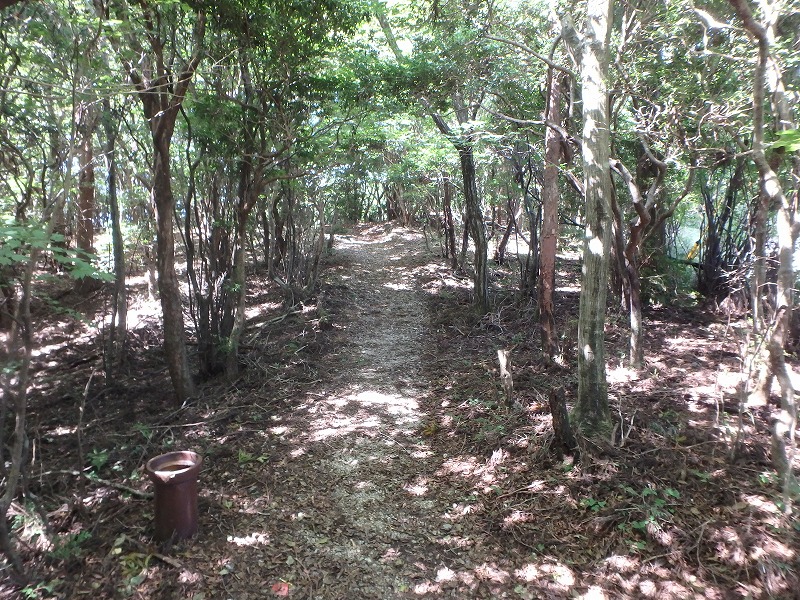 asahiga11.jpg