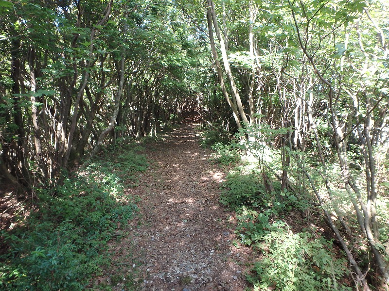 asahiga12.jpg