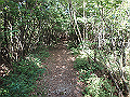 asahiga12_thumb.png