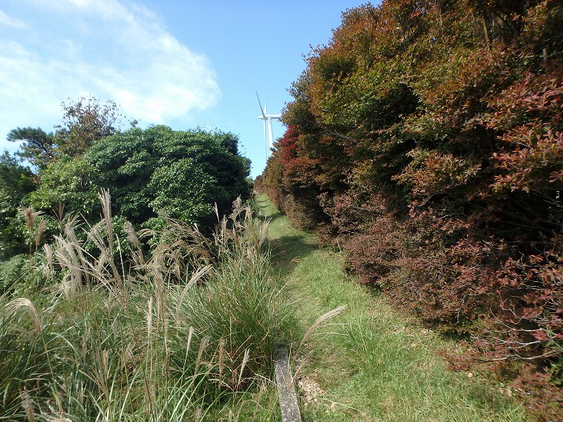 asahiga19.jpg