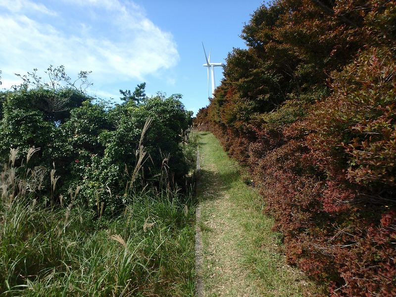 asahiga20.jpg