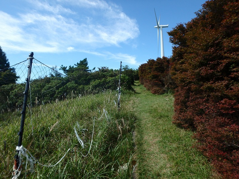 asahiga21.jpg