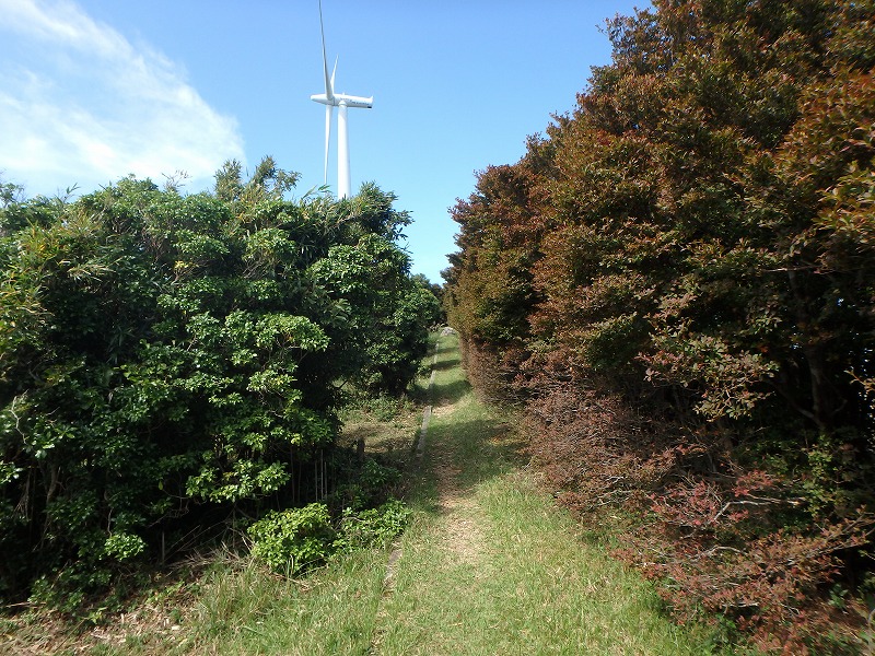asahiga23.jpg