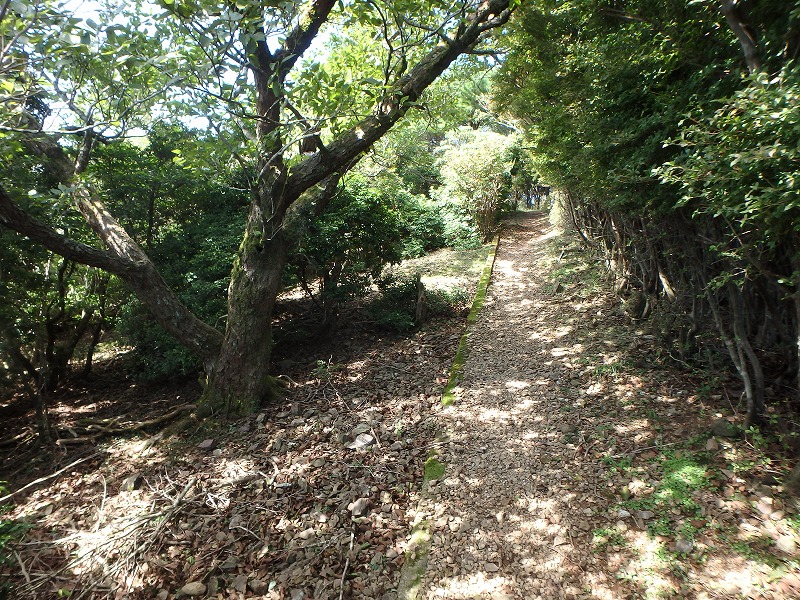 asahiga28.jpg