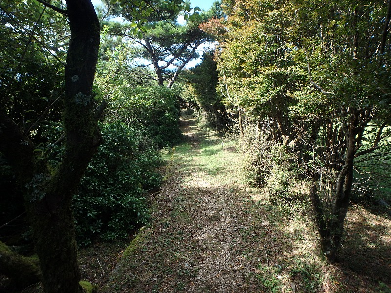 asahiga29.jpg