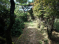 asahiga29_thumb.png