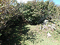 asahiga37_thumb.png