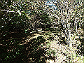 asahiga44_thumb.png