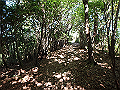 asahiga06_thumb.png