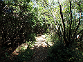 asahiga07_thumb.png