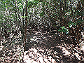 asahiga08_thumb.png
