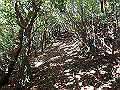 asahiga09_thumb.png