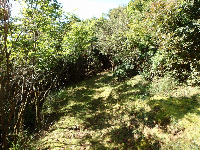 asahiga10.jpg
