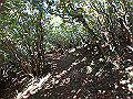 asahiga20_thumb.png