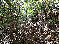asahiga25_thumb.png