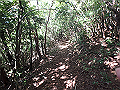 asahiga26_thumb.png