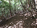 asahiga27_thumb.png