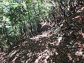 asahiga28_thumb.png