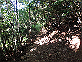 asahiga29_thumb.png