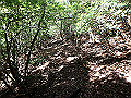 asahiga32_thumb.png