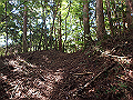 asahiga33_thumb.png