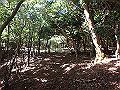asahiga38_thumb.png