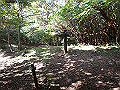 asahiga39_thumb.png