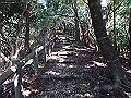 asahiga45_thumb.png