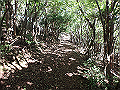 asahiga50_thumb.png