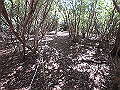 asahiga62_thumb.png