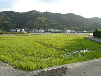 benten10.jpg