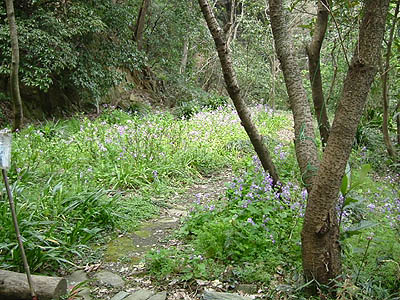 bizan13-04.jpg