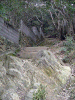 bizan13-09_thumb.png