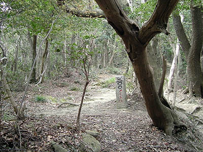bizan13-15.jpg