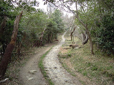 bizan13-18.jpg