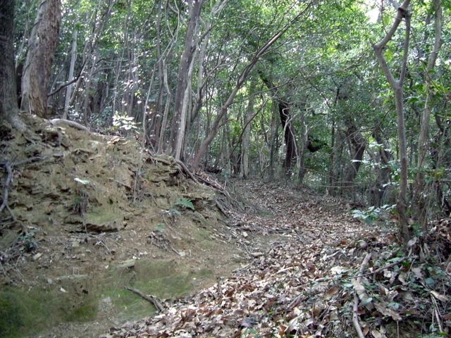 bizan18-08.jpg