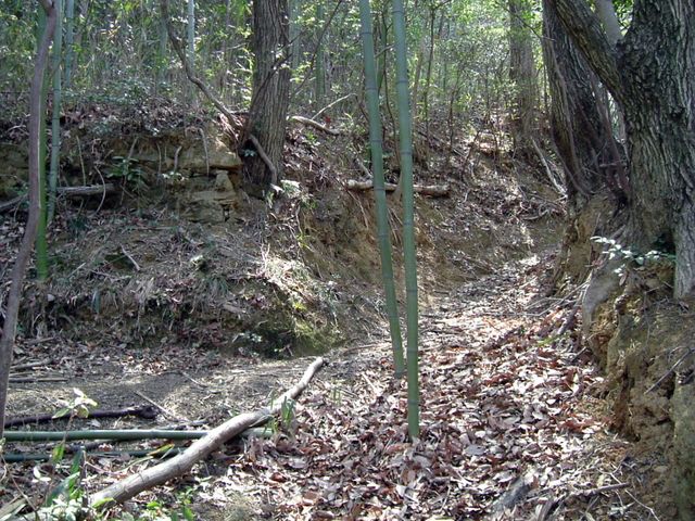 bizan18-18.jpg