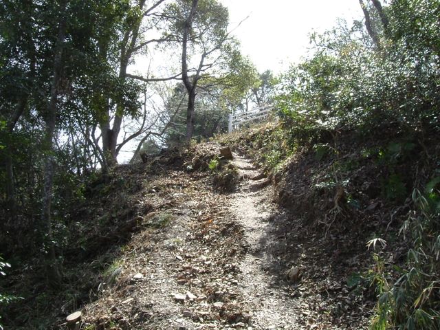 bizan18-27.jpg
