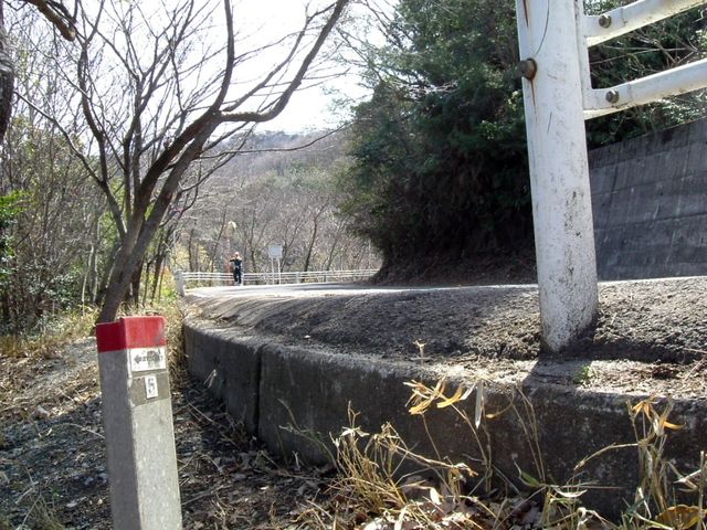 bizan18-28.jpg