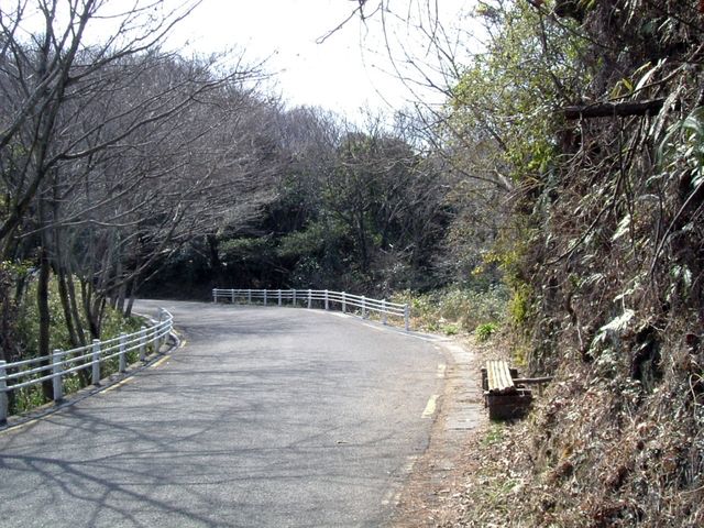 bizan18-29.jpg