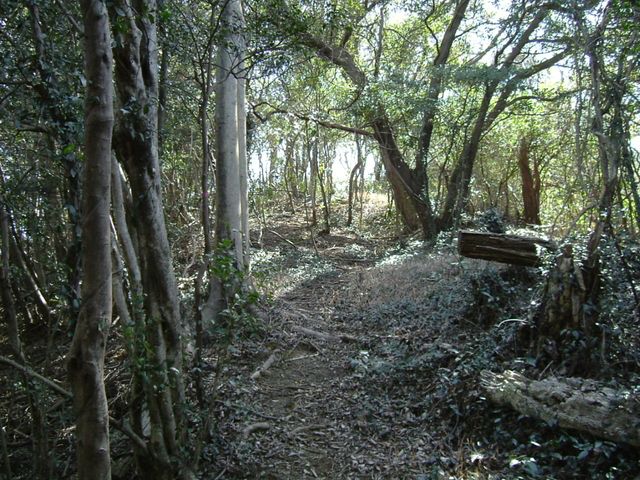 bizan18-33.jpg