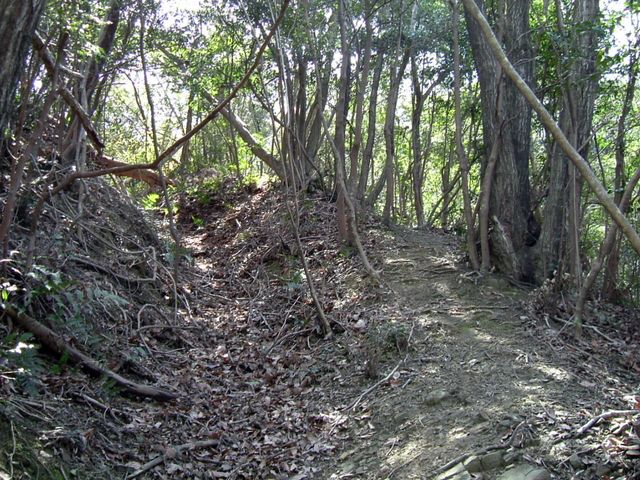 bizan18-34.jpg
