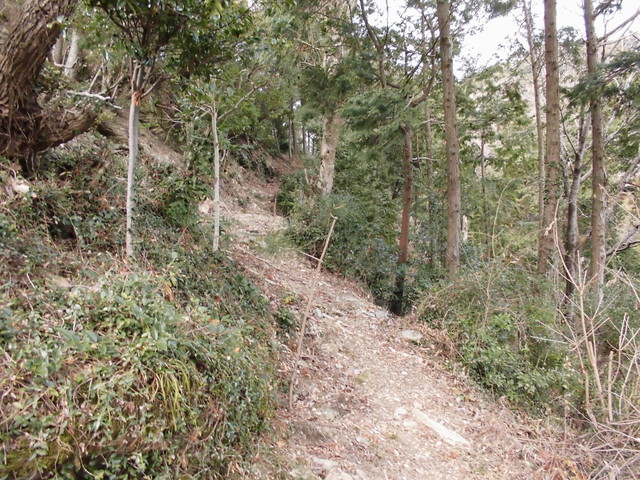 bizan-05.jpg