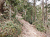 bizan-05_thumb.png