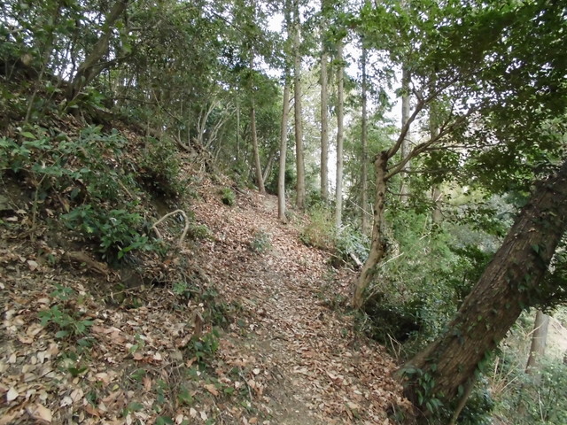 bizan-06.jpg