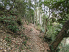 bizan-06_thumb.png